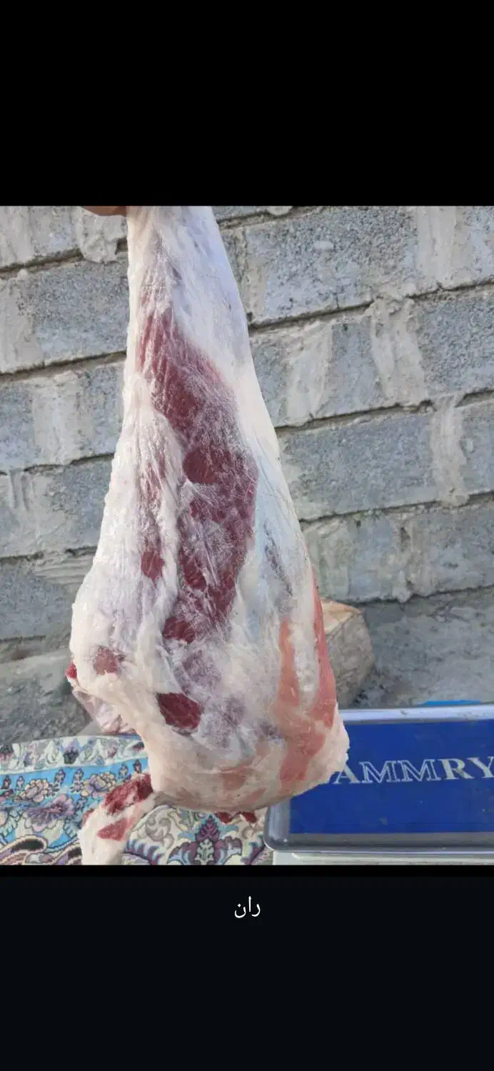 گوشت کهره باکیفیت|حیوانات مزرعه|میناب, |دیوار