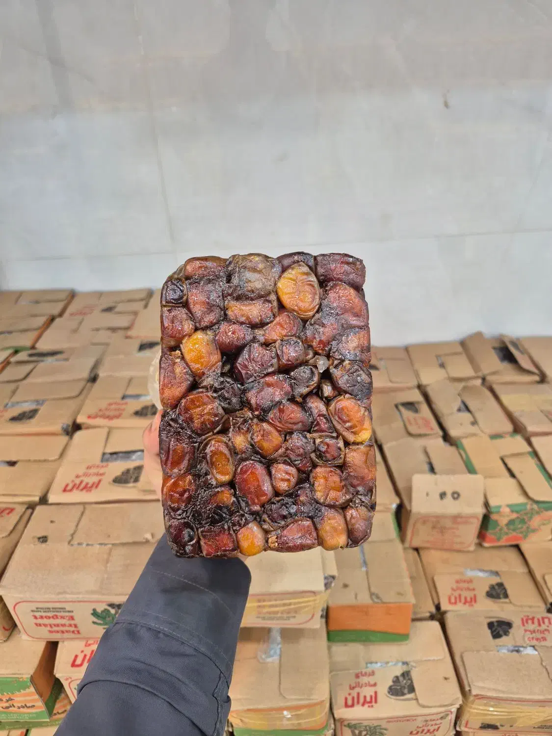 خرما جهرم|خوردنی و آشامیدنی|قم, شهرک سازمان آب|دیوار