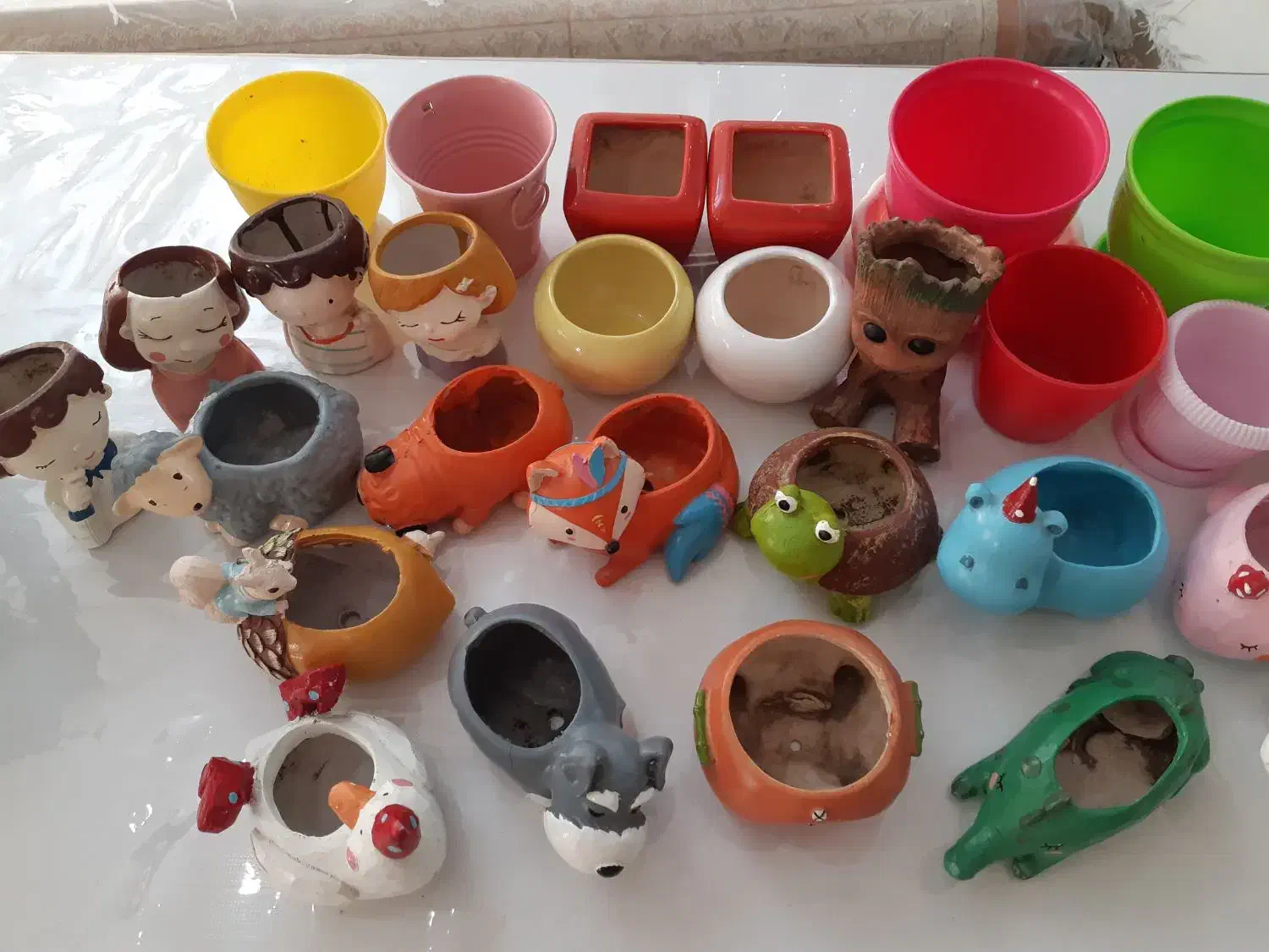 گلدان سرامیکی فانتزی|گل و گیاه طبیعی|تهران, شهرک فرهنگیان|دیوار