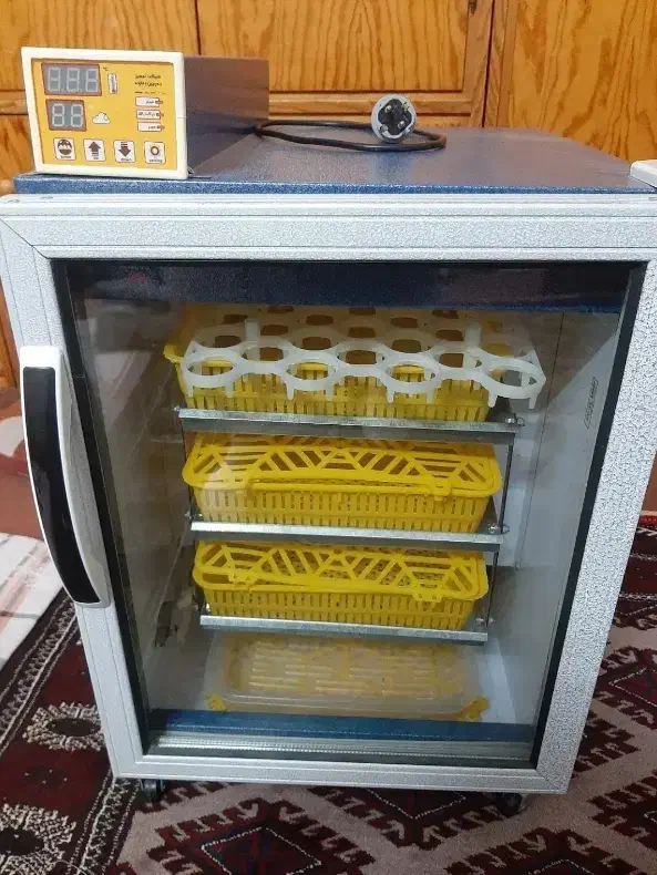 دستگاه جوجه کشی مرغ خروس لاری غاز اردک|لوازم جانبی حیوانات|گرگان, |دیوار