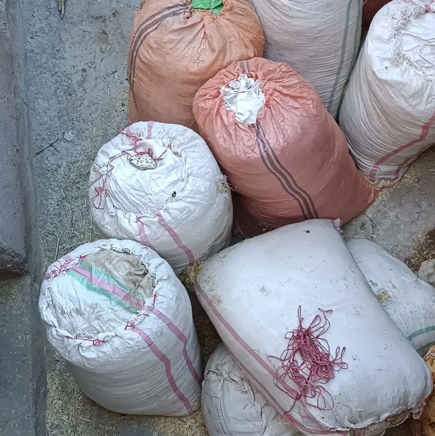 کاه|حیوانات مزرعه|مسجد سلیمان, |دیوار