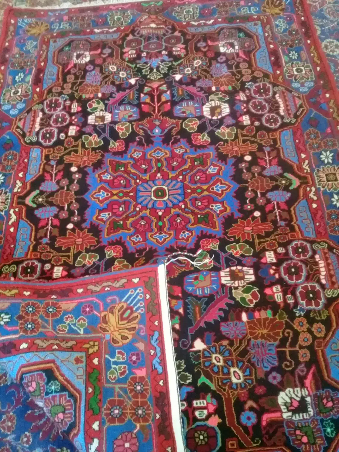 قالی دست بافت|فرش|نهاوند, |دیوار