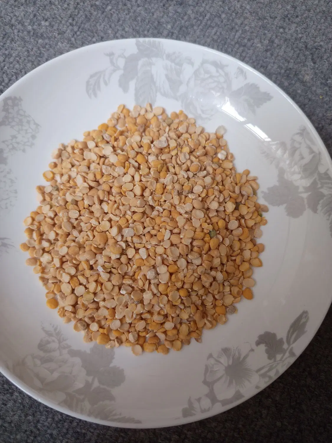 پخش حبوبات|خوردنی و آشامیدنی|شیراز, شهرک استقلال|دیوار