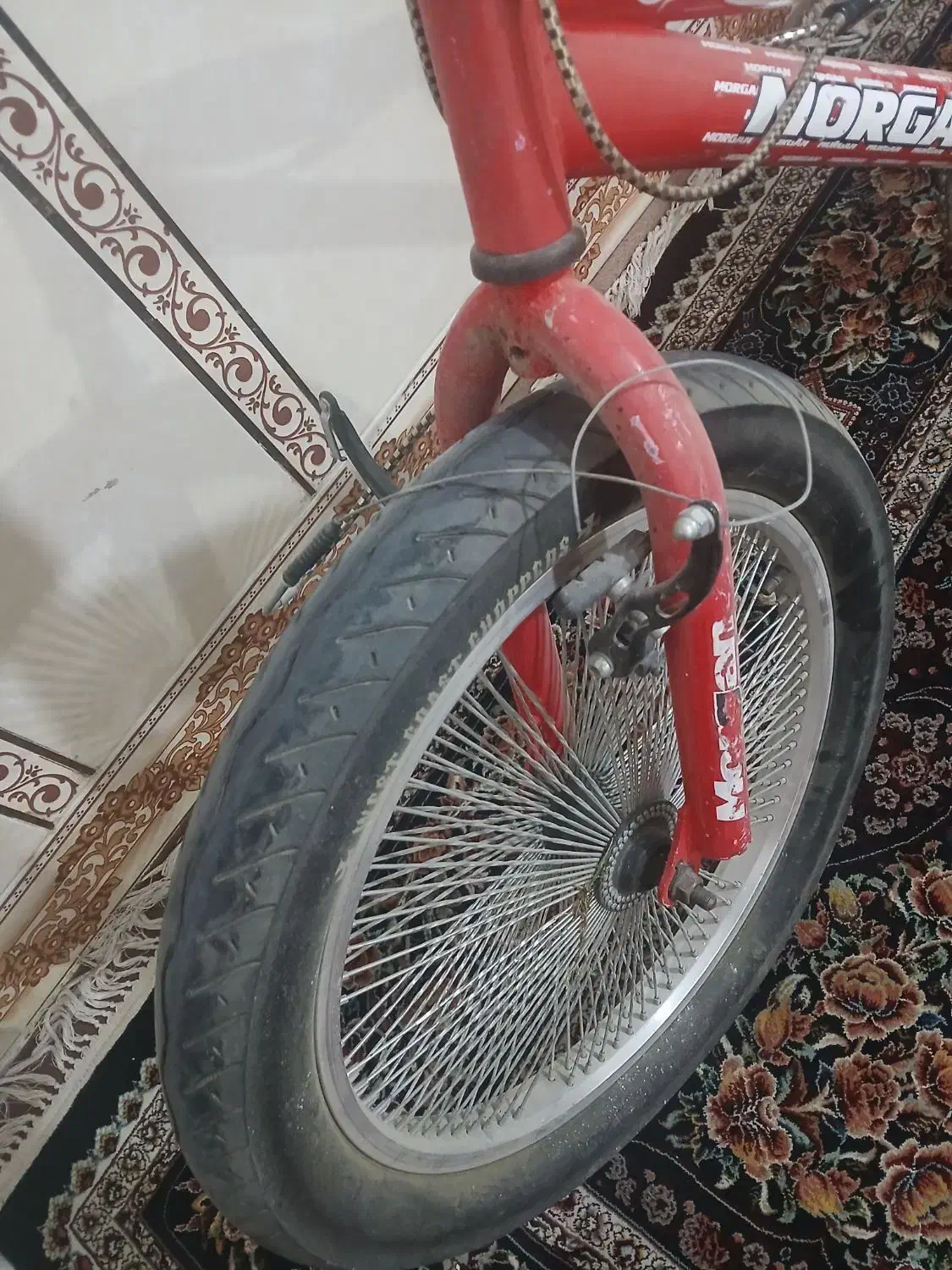 دوچرخه ۲۰ حرفه ای|دوچرخه، اسکیت، اسکوتر|شیراز, ده پیاله|دیوار