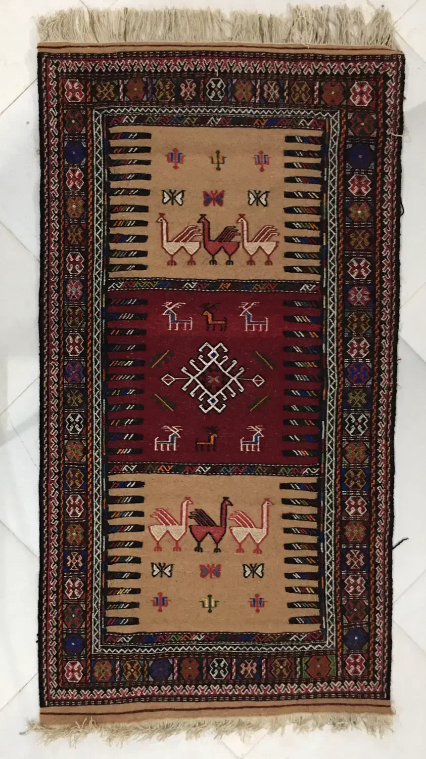 گلیم سفره کردی|گلیم، جاجیم، گبه|شیروان (خراسان), |دیوار