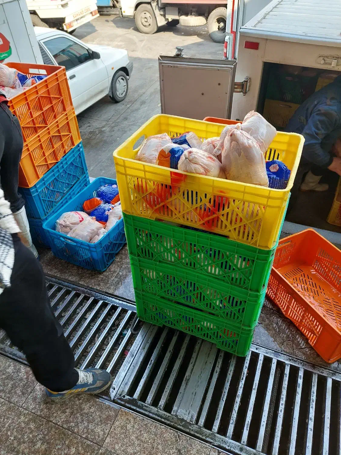 توزیع مرغ شمال|خوردنی و آشامیدنی|قم, پامنار|دیوار