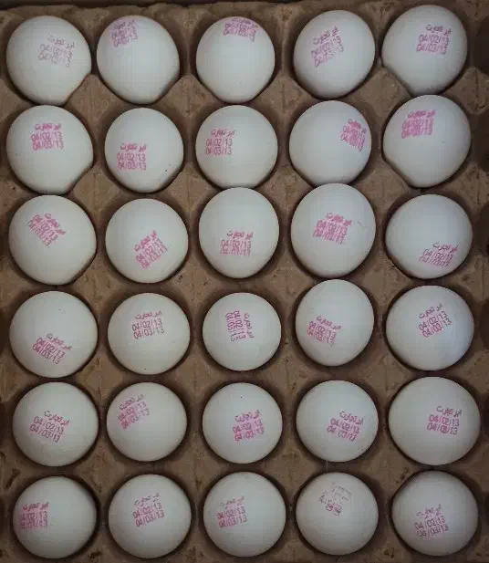 توزیع تخم مرغ تازه و با کیفیت|خوردنی و آشامیدنی|مشهد, سرافرازان|دیوار