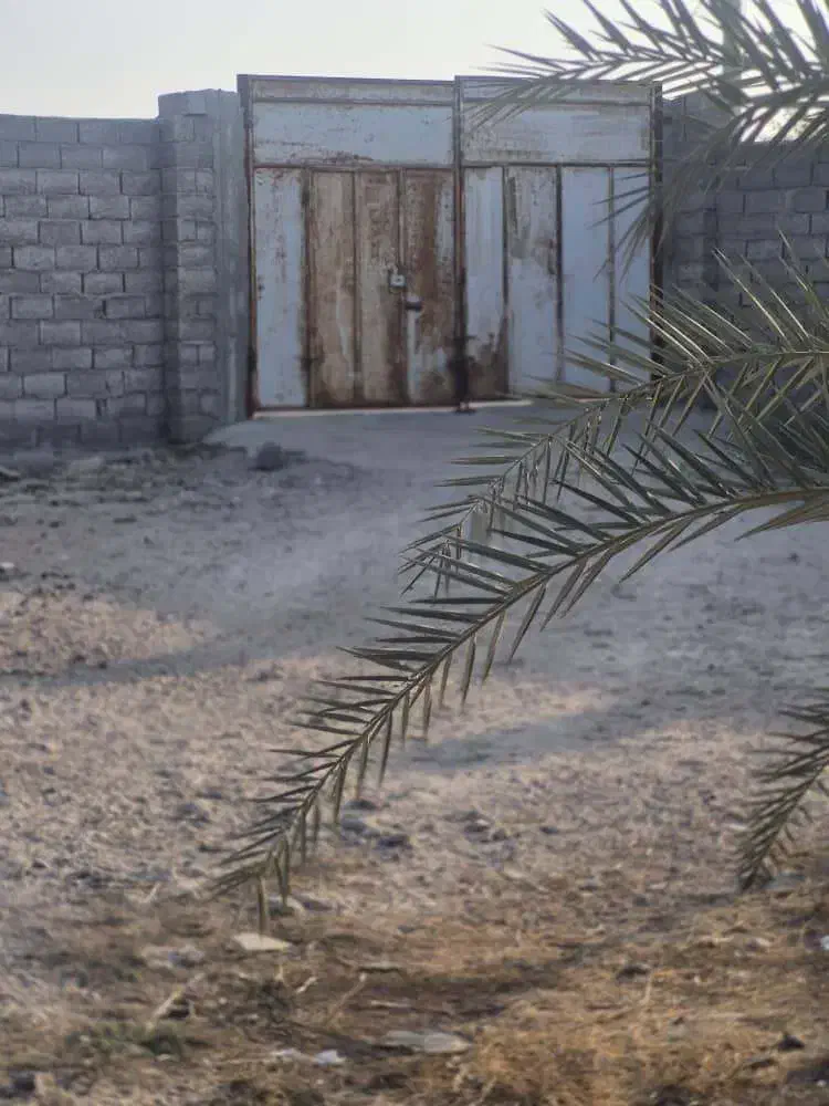 فروش دامداری در مجتمع دامداری بردغان بندرلنگه|فروش دفتر صنعتی، کشاورزی، تجاری|بندرلنگه, |دیوار