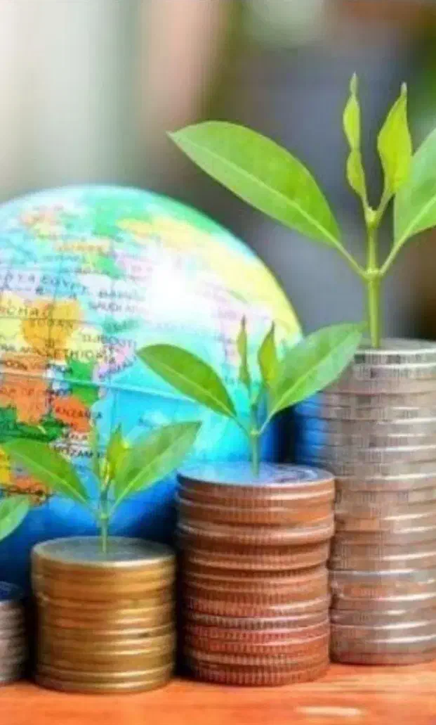 ضامن وام بانکی|فعالیت داوطلبانه|میاندوآب, |دیوار