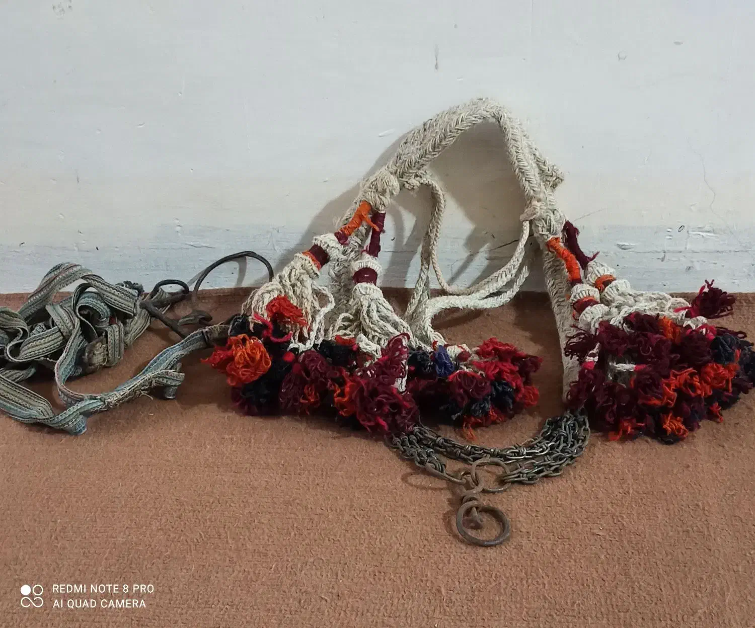 اسب|اسب و تجهیزات اسب‌سواری|اسلام‌‌آباد غرب, |دیوار