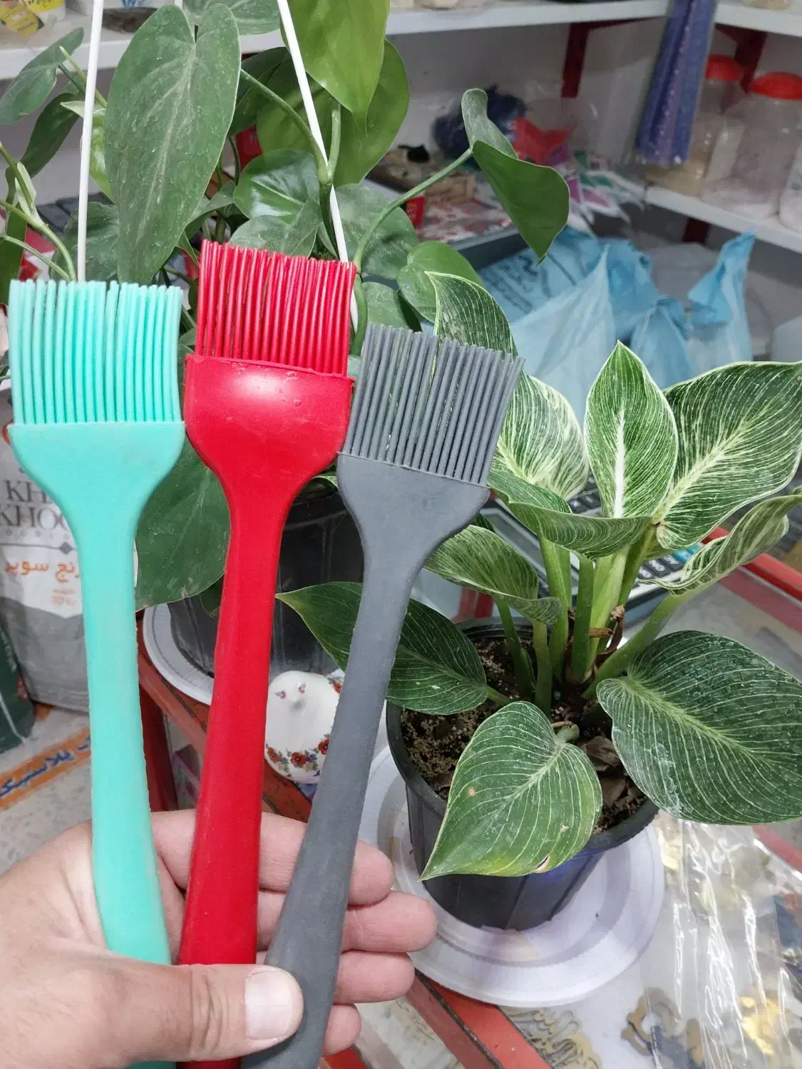 واگذاری مغازه لوازم قنادی و ظروف یکبار مصرف|فروش مغازه و غرفه|کاخک, |دیوار