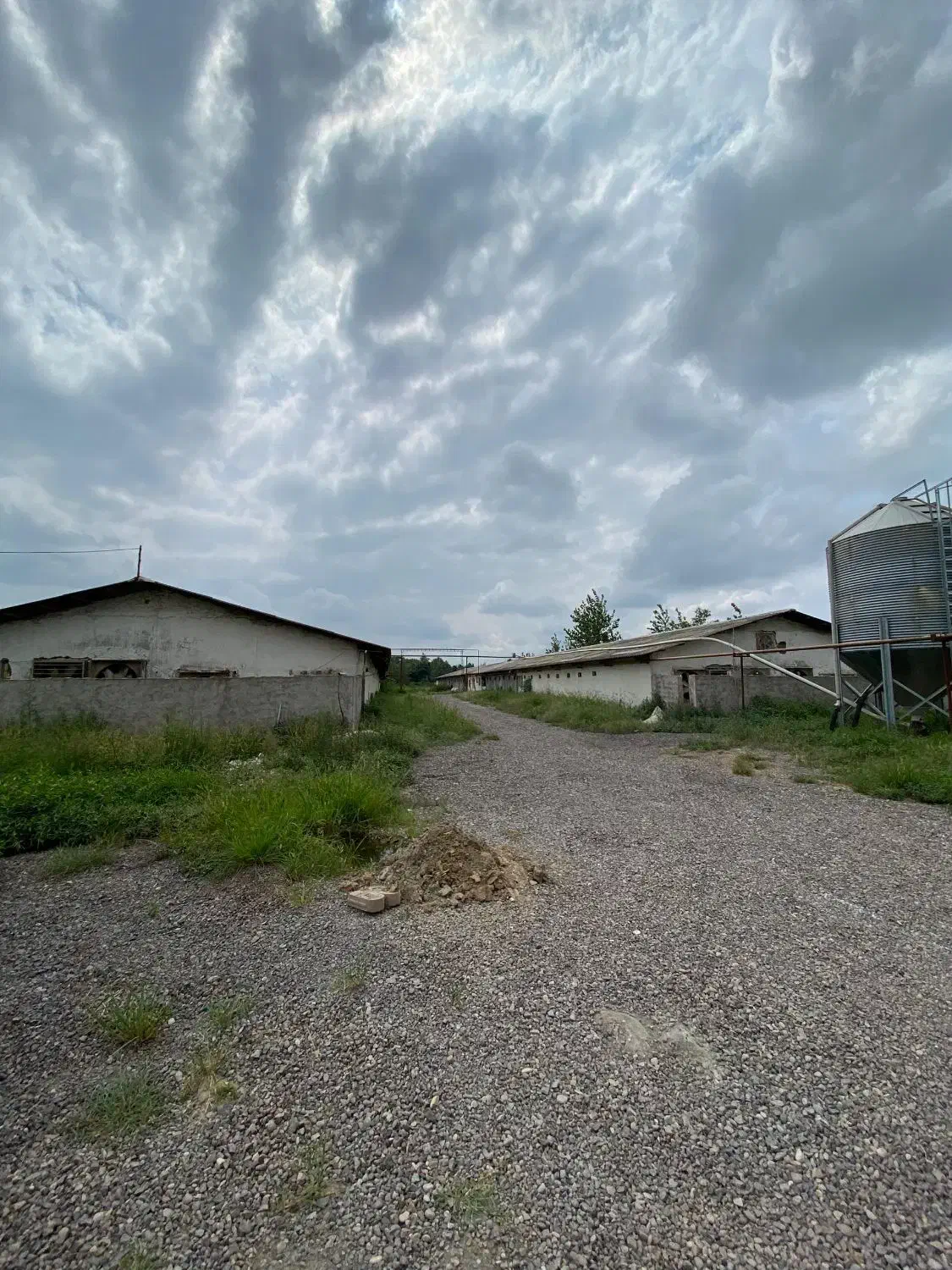 فروشِ فوریِ مرغداریِ گوشتی در صومعه سرا|فروش دفتر صنعتی، کشاورزی، تجاری|صومعه‌سرا, |دیوار