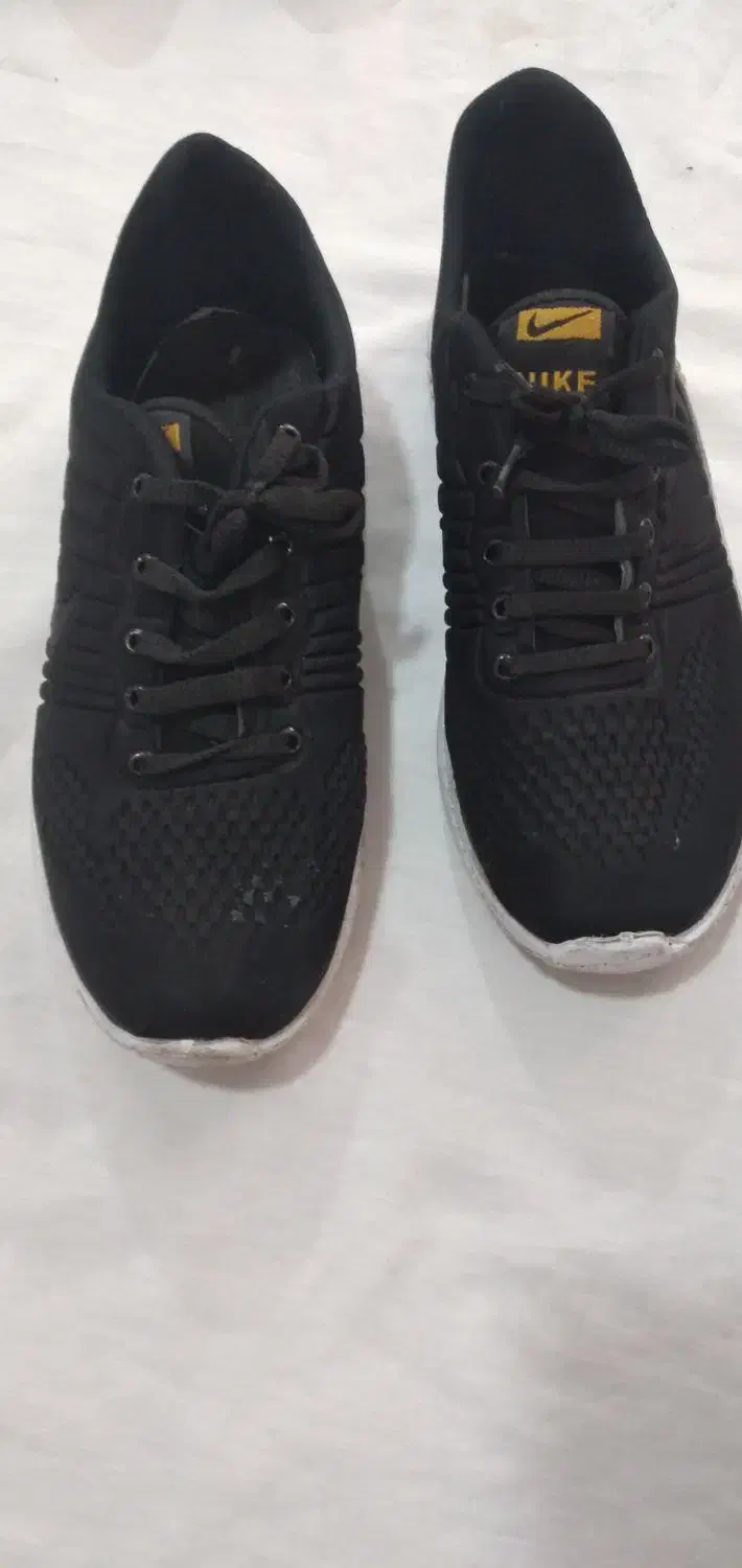 کفش|کیف، کفش، کمربند|قرچک, مهدیه|دیوار