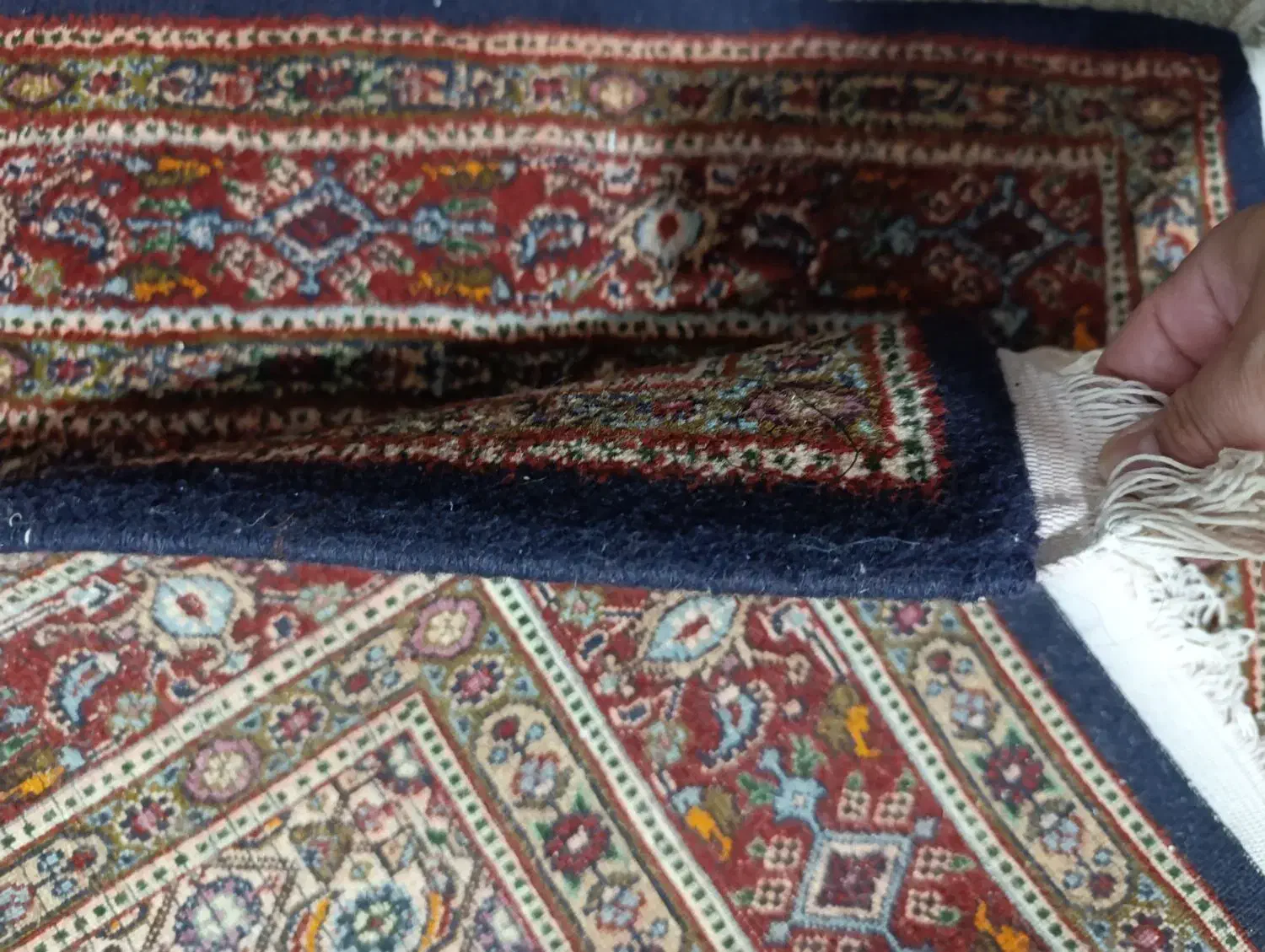 فرش دستباف|فرش|بیرجند, |دیوار