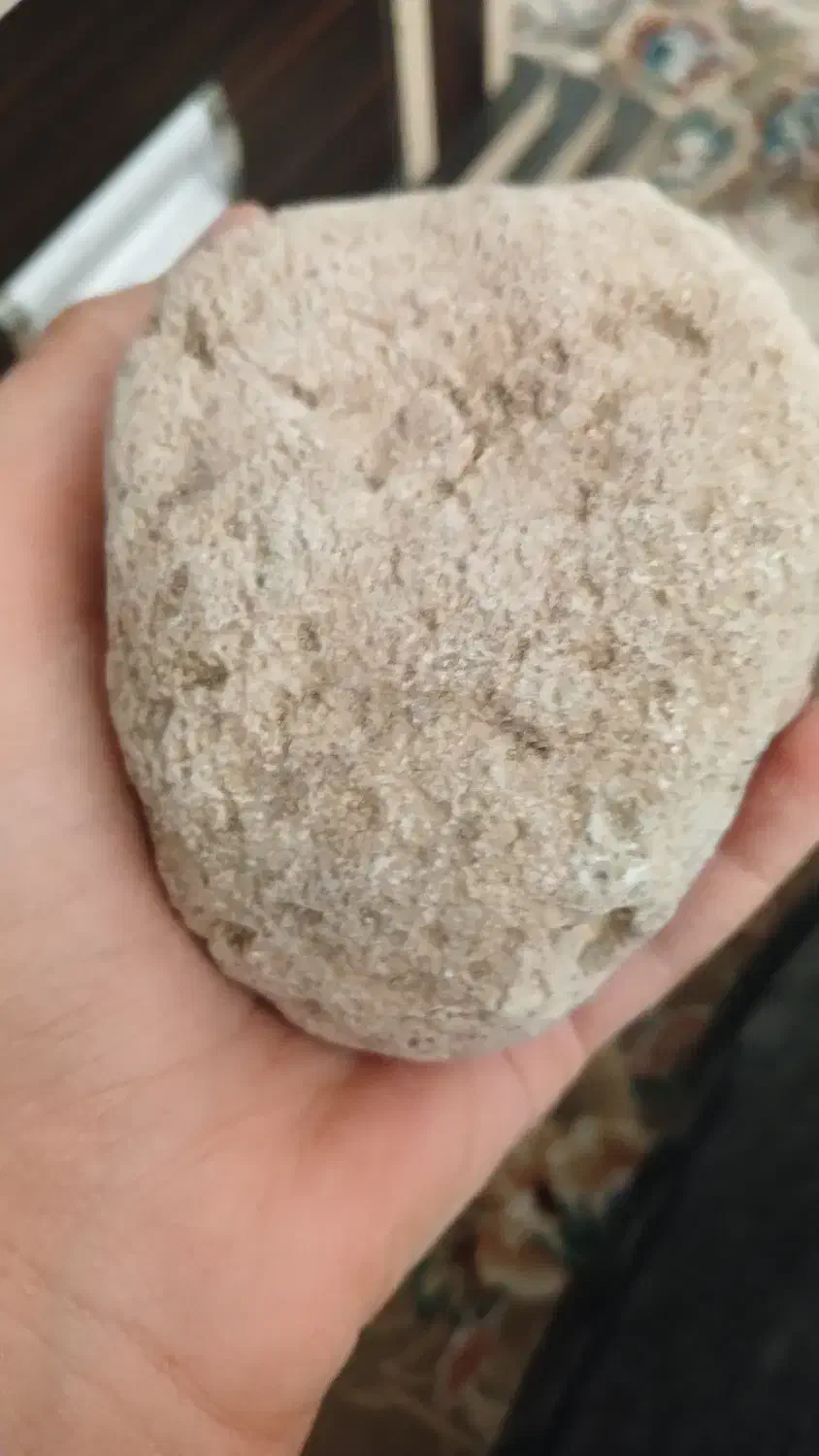 سنگ فسیل|کلکسیون اشیاء عتیقه|بوئین زهرا, |دیوار