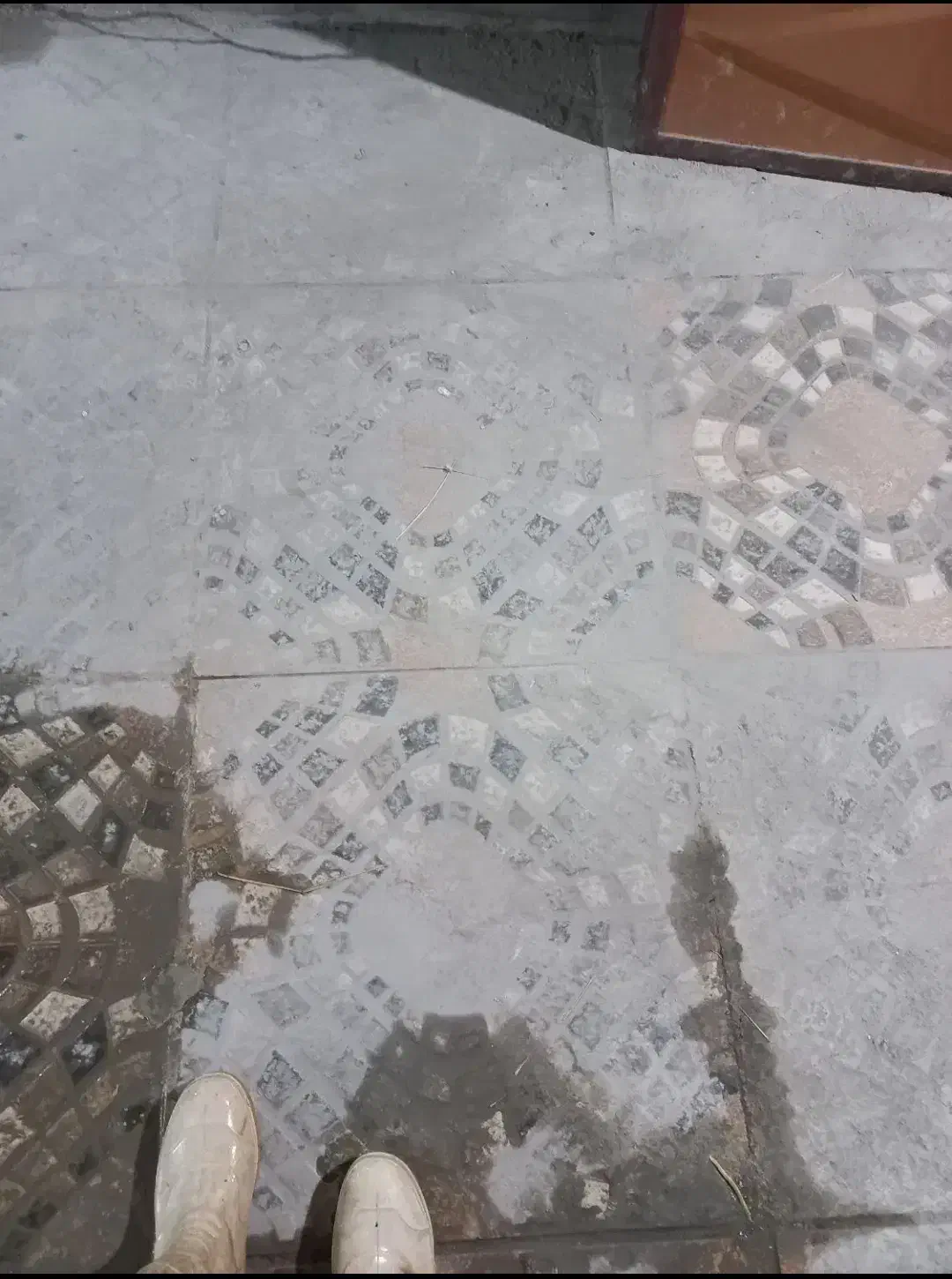 خدمات کفسابی و سنگ سابی ساب بتن کفساب سرامیک|خدمات نظافت|خرمشهر, |دیوار