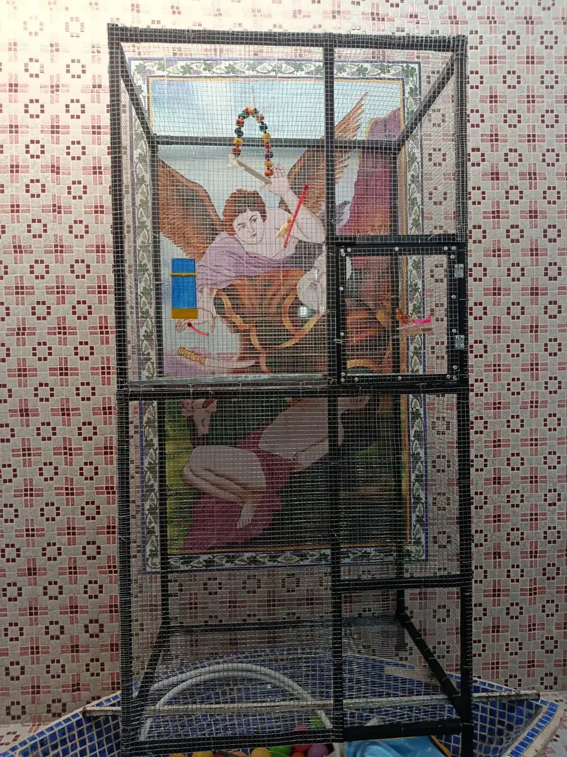 قفس پرنده بزرگ|لوازم جانبی حیوانات|شیراز, سجادیه|دیوار