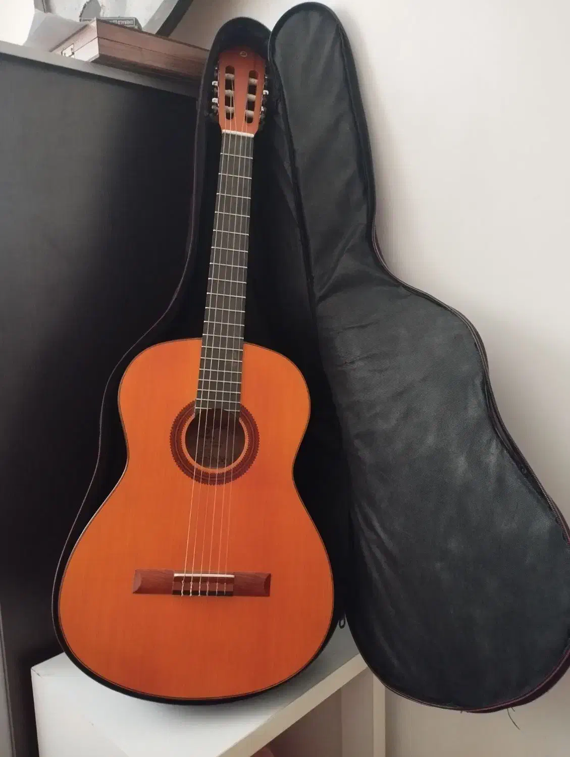 گیتار همراه با کیفش|گیتار، بیس، امپلیفایر|ماکو, |دیوار