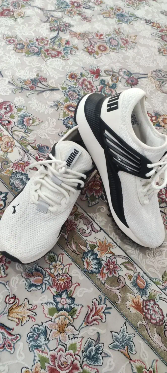 کتونی پوما اورجینال|کیف، کفش، کمربند|ماهدشت, |دیوار