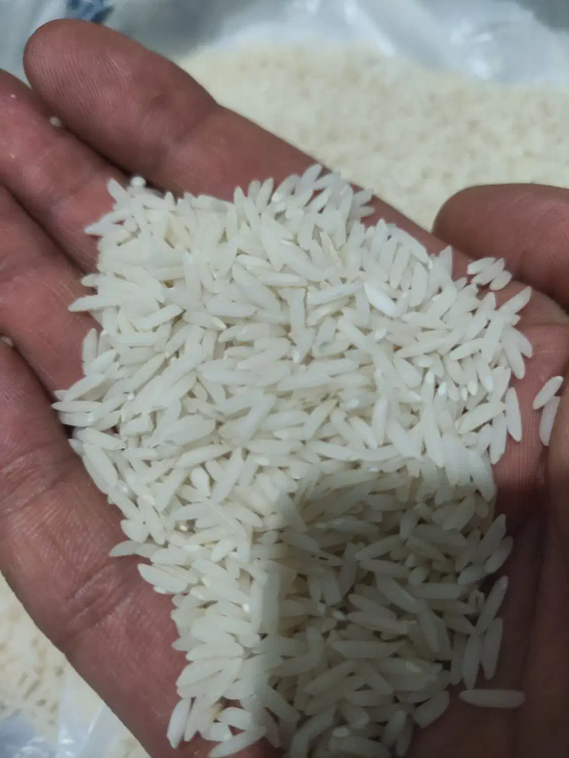 برنج هاشمی سورتینگ زده|خوردنی و آشامیدنی|رشت, آب آسیاب|دیوار