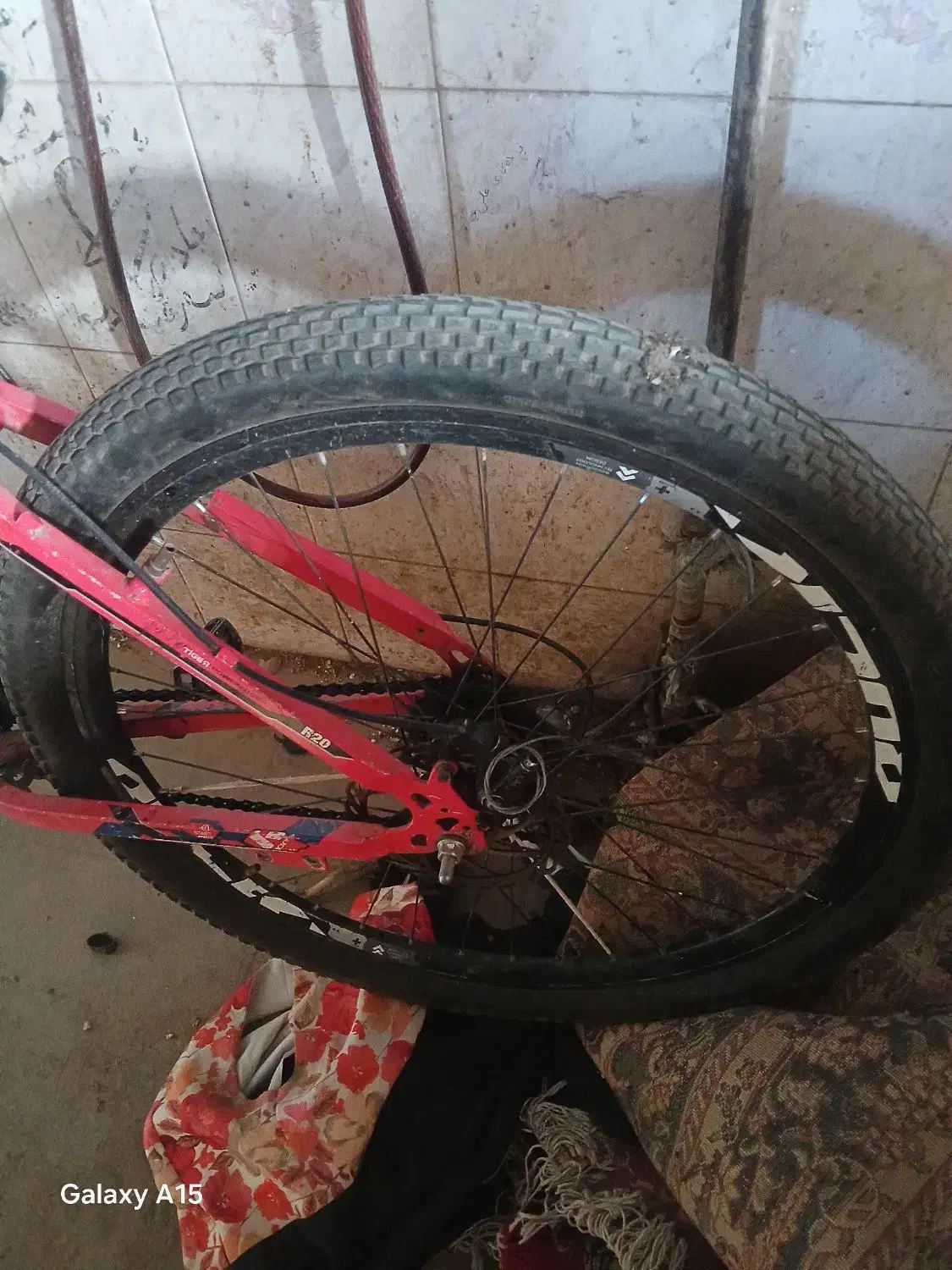 دوچرخه سوار 26 کوستانی|دوچرخه، اسکیت، اسکوتر|پیشوا, |دیوار