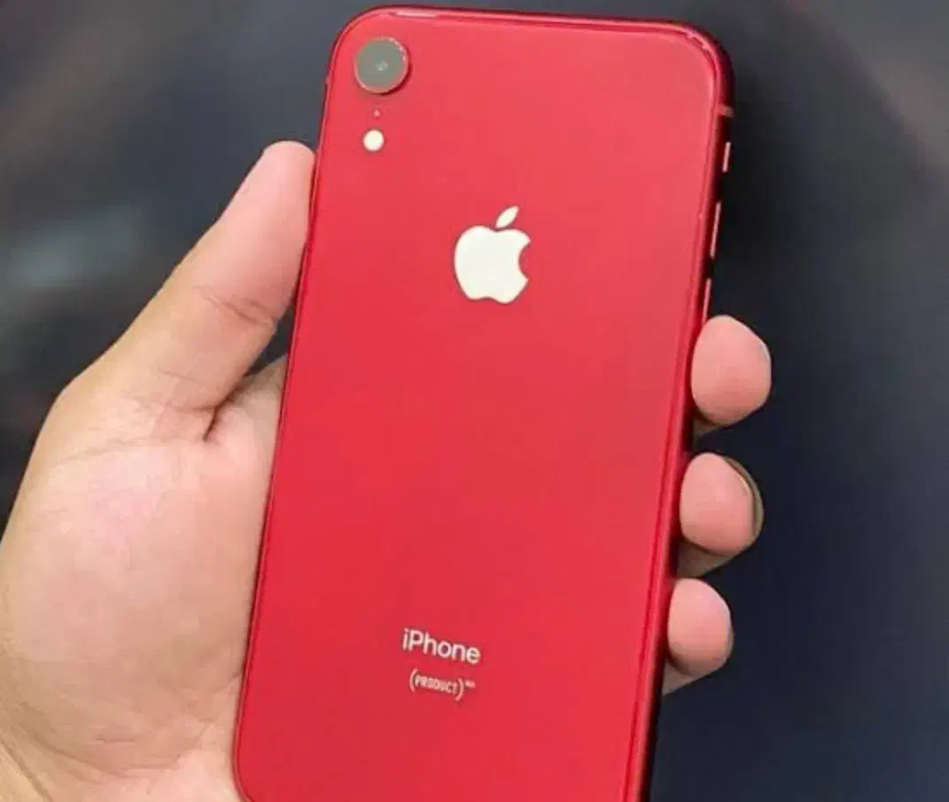 آیفون XR 128 ch|موبایل|بروجرد, |دیوار