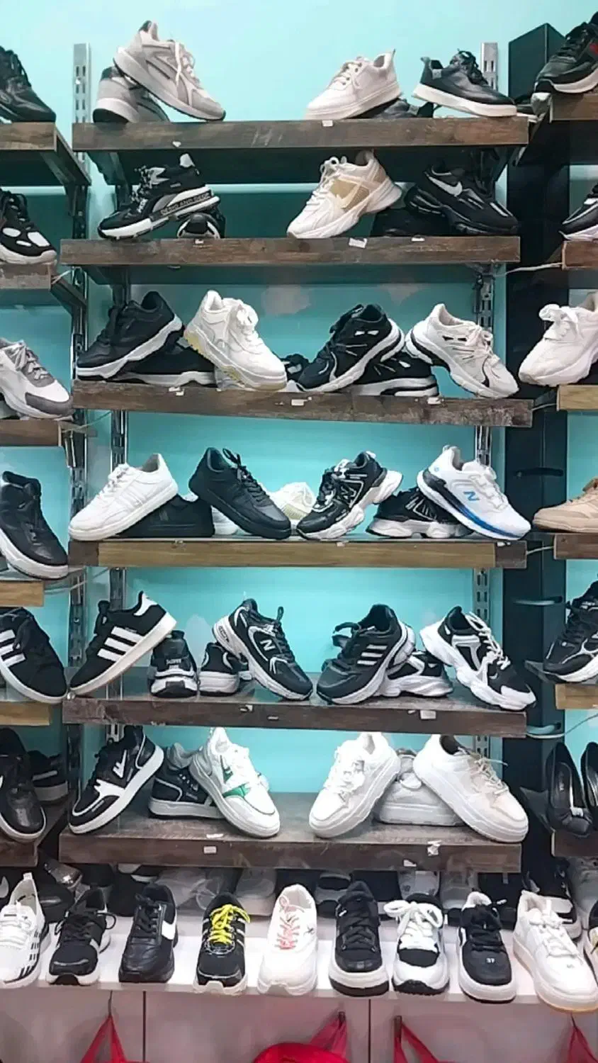 کتونی|کیف، کفش، کمربند|بجنورد, |دیوار