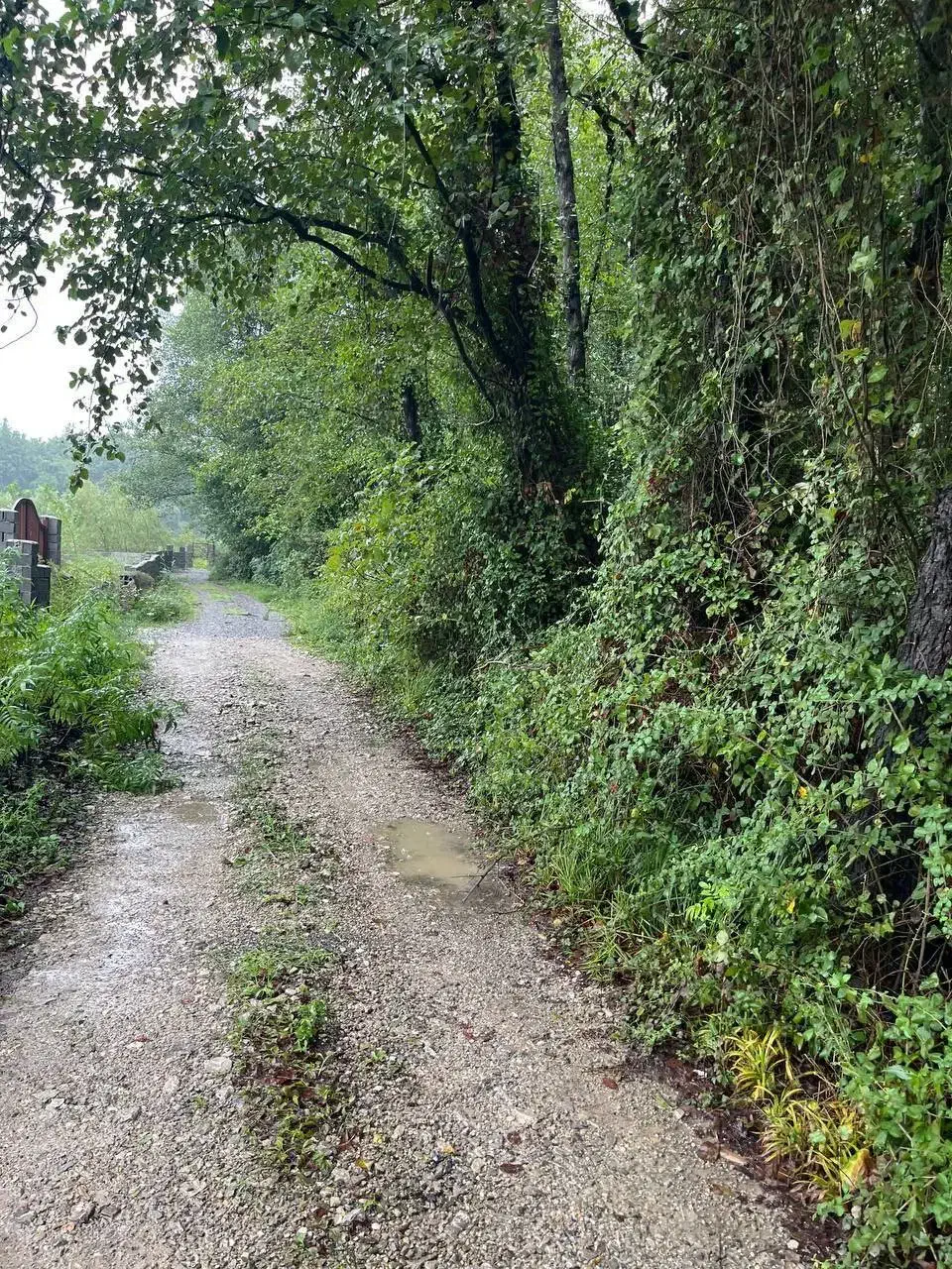 360م قابل ساخت کلبه سوئیسی|فروش زمین و ملک کلنگی|امامزاده عبدالله, |دیوار