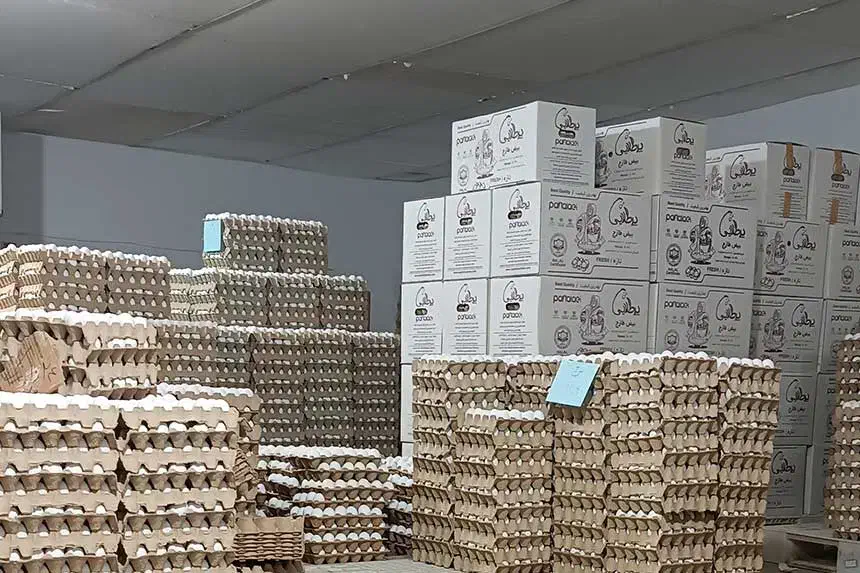 پخش تخم مرغ پایدار|خوردنی و آشامیدنی|تهران, سهروردی|دیوار