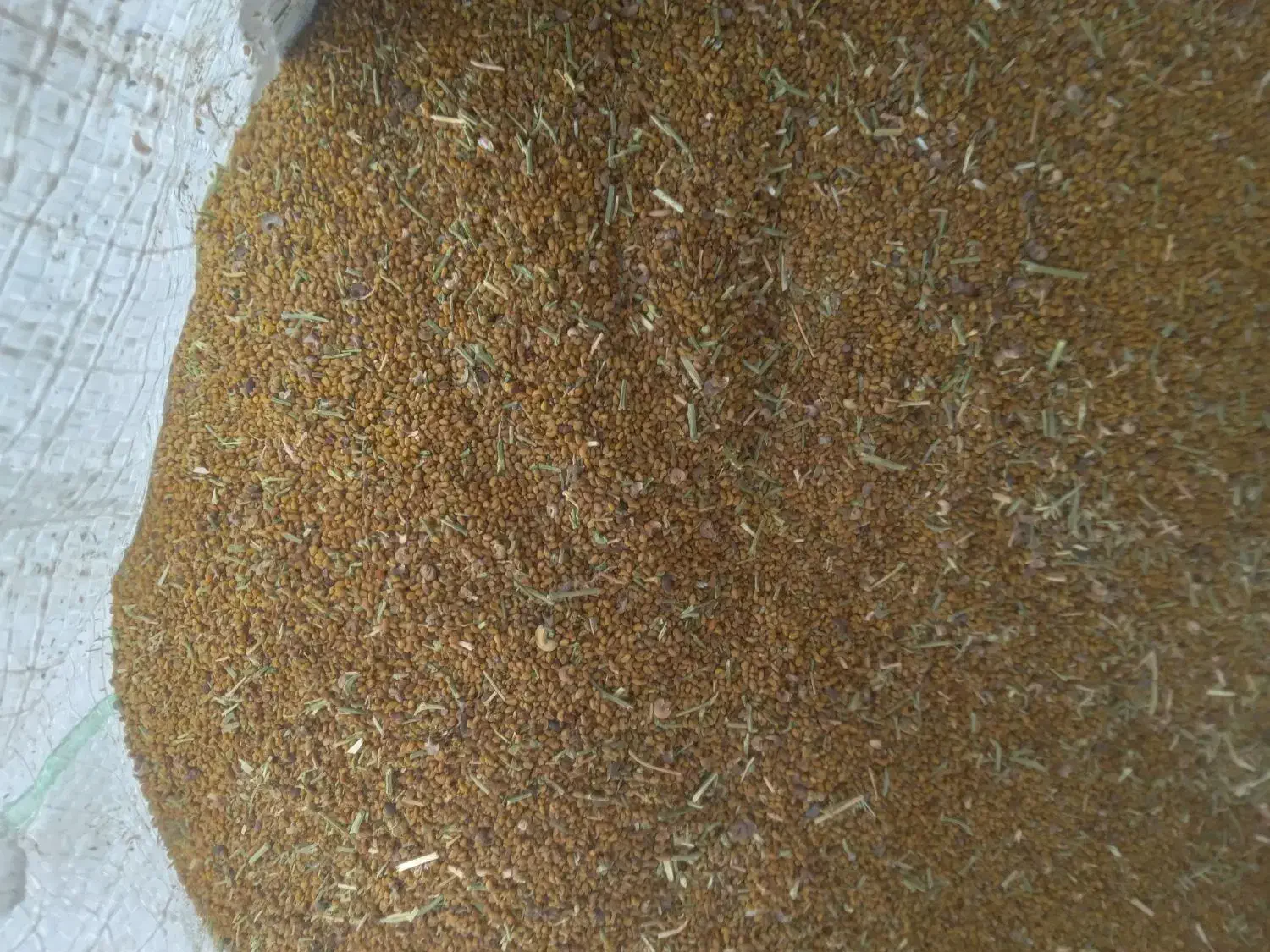 بذر یونجه|گل و گیاه طبیعی|شراء, |دیوار