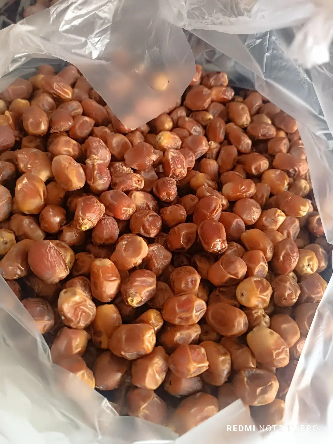 خرمای زاهدی (قصب)|خوردنی و آشامیدنی|تهران, سید خندان (جلفا)|دیوار