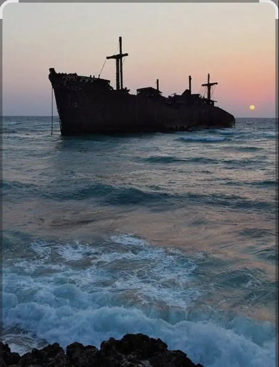 تور کیش|تور و چارتر|تهران, نیلوفر|دیوار