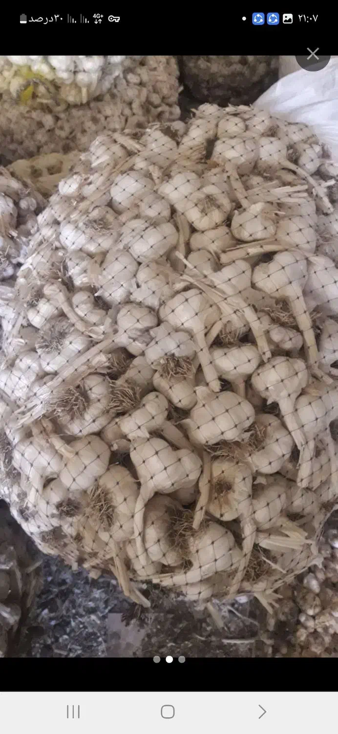 فروش سیر درجه یک صادراتی|عمده‌فروشی|هرسین, |دیوار