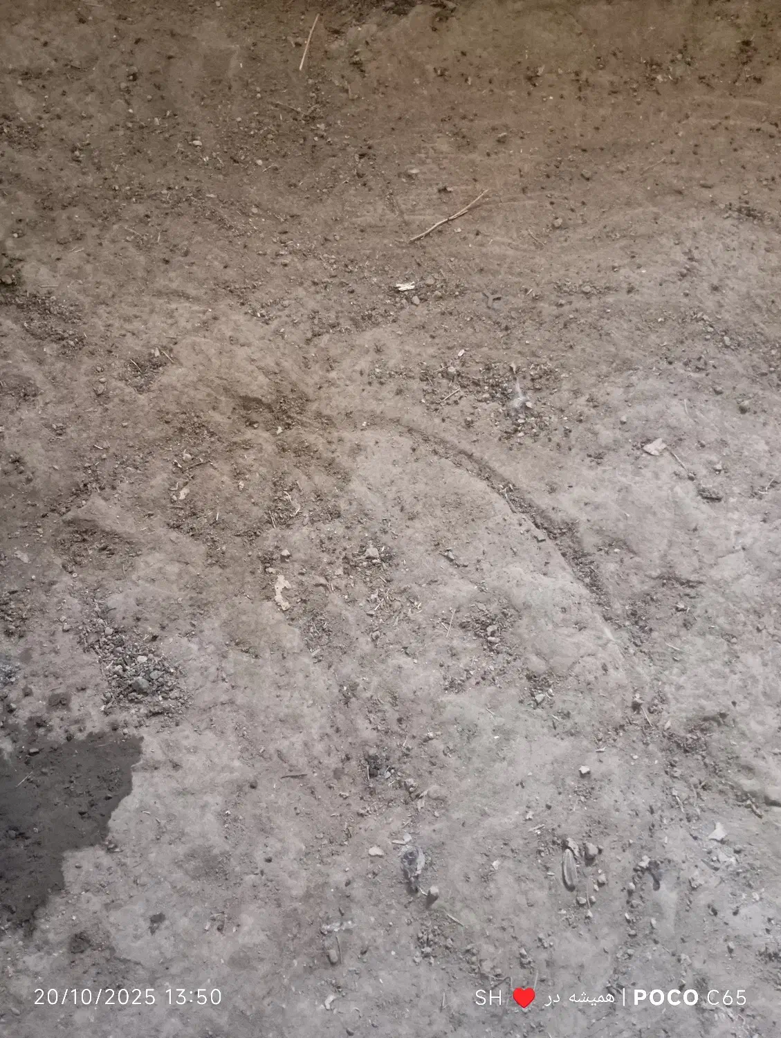 زمین کشاورزی آبی|اجارهٔ دفتر صنعتی، کشاورزی، تجاری|صومای برادوست, |دیوار