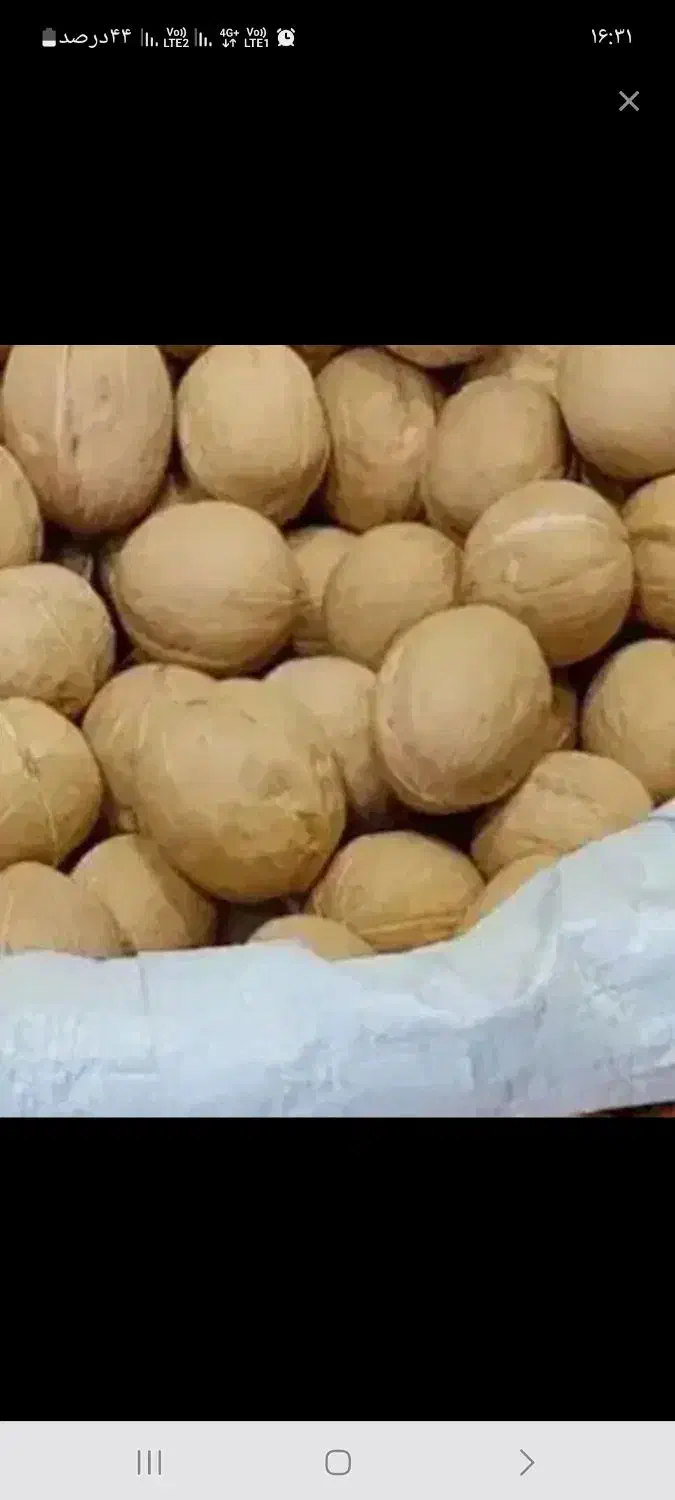 گردو درجه یک|خوردنی و آشامیدنی|کاشان, امیرکبیر|دیوار