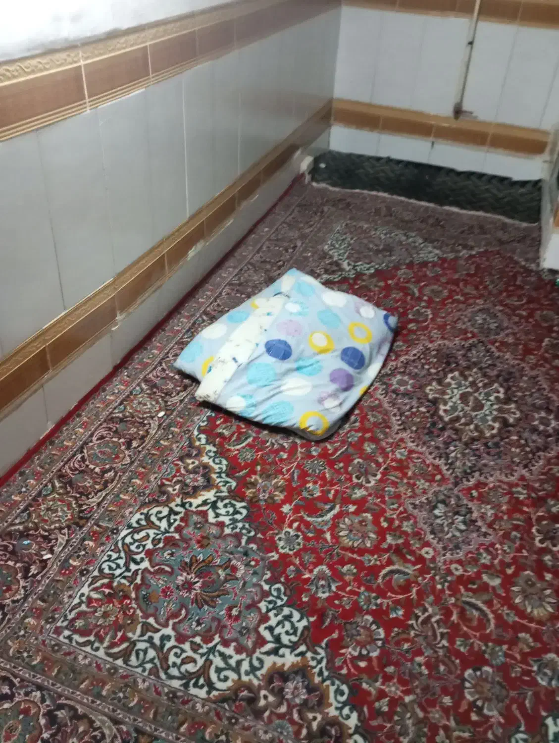 زیر زمین مشترک|اجارهٔ آپارتمان|قم, شاه ابراهیم|دیوار