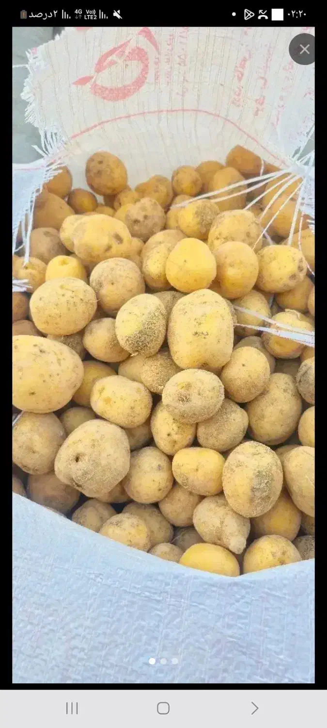 سیبخاکیدرجه.یک۴۰تون|عمدهفروشی|شهرکرد, |دیوار