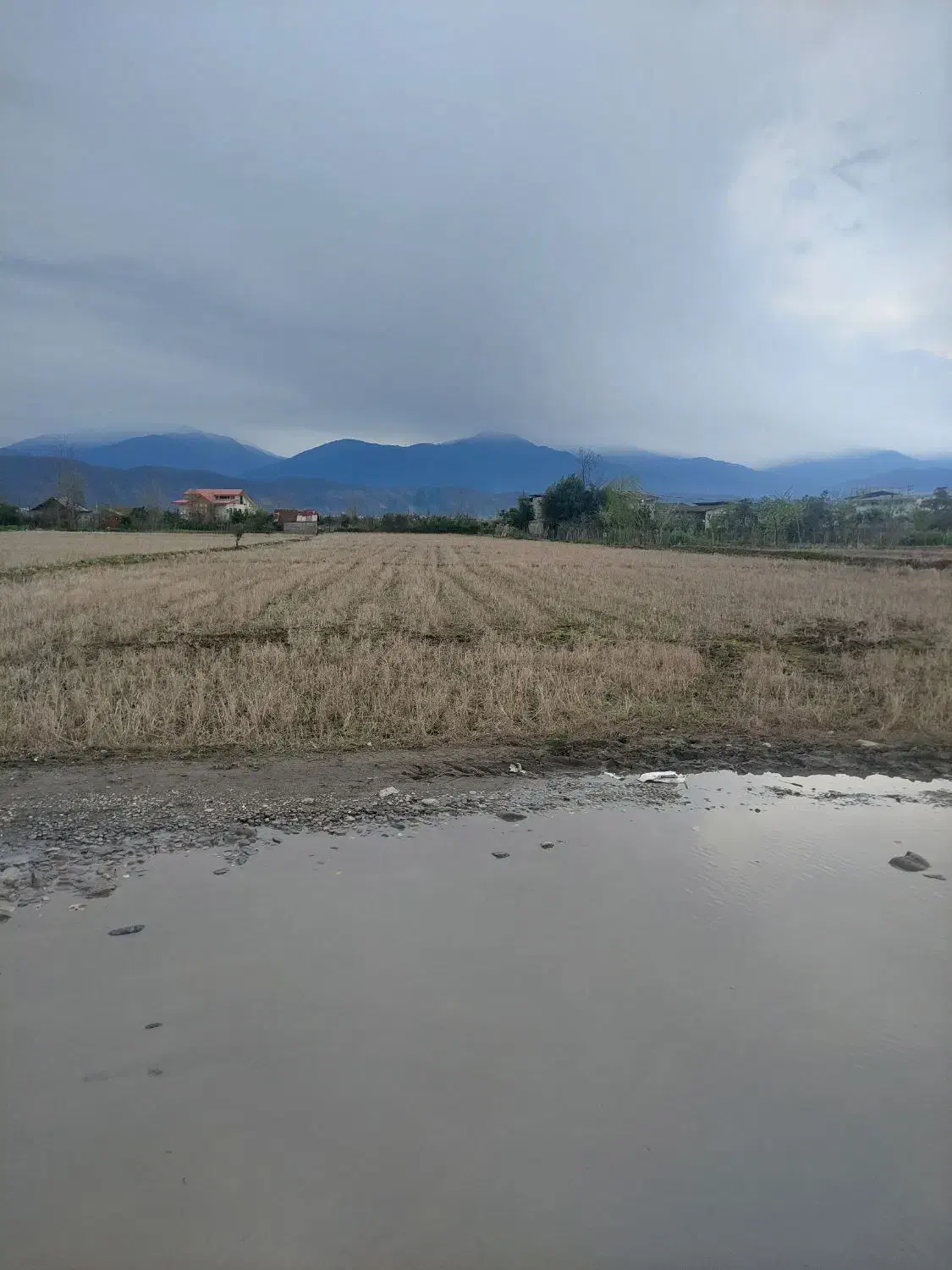 زمین فروشی|فروش زمین و ملک کلنگی|خرم‌آباد (تنکابن), |دیوار