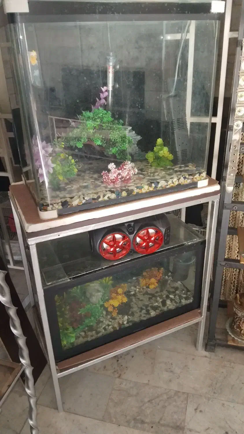 دو عدد اکواریوم کاملا سالم و فعال|ماهی|رباطکریم, رباطکریم|دیوار