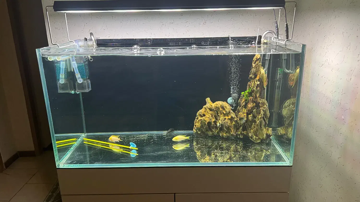 اکواریوم ریملس ۱۰ میل|ماهی|قرچک, باقرآباد|دیوار