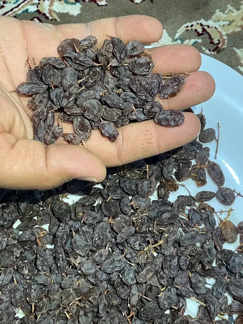 کشمش عسکری و ریش بابا تناژی|خوردنی و آشامیدنی|بیضا, |دیوار