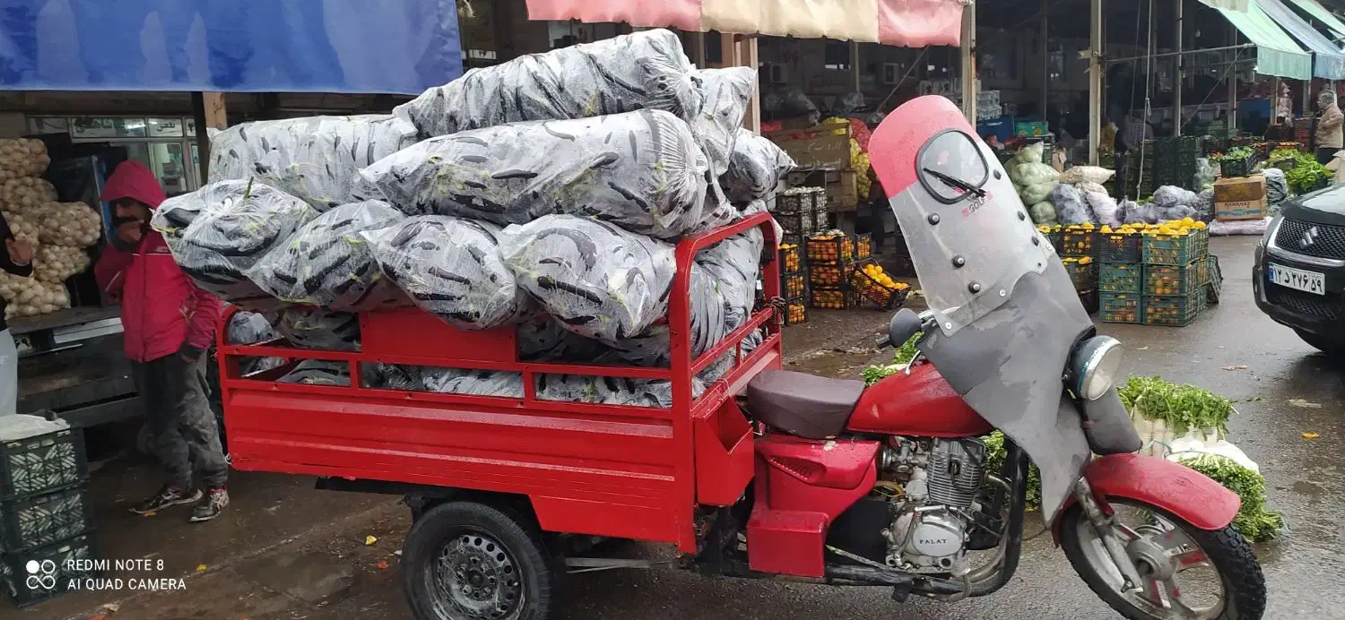 موتور سه چرخ|موتورسیکلت|گرگان, |دیوار