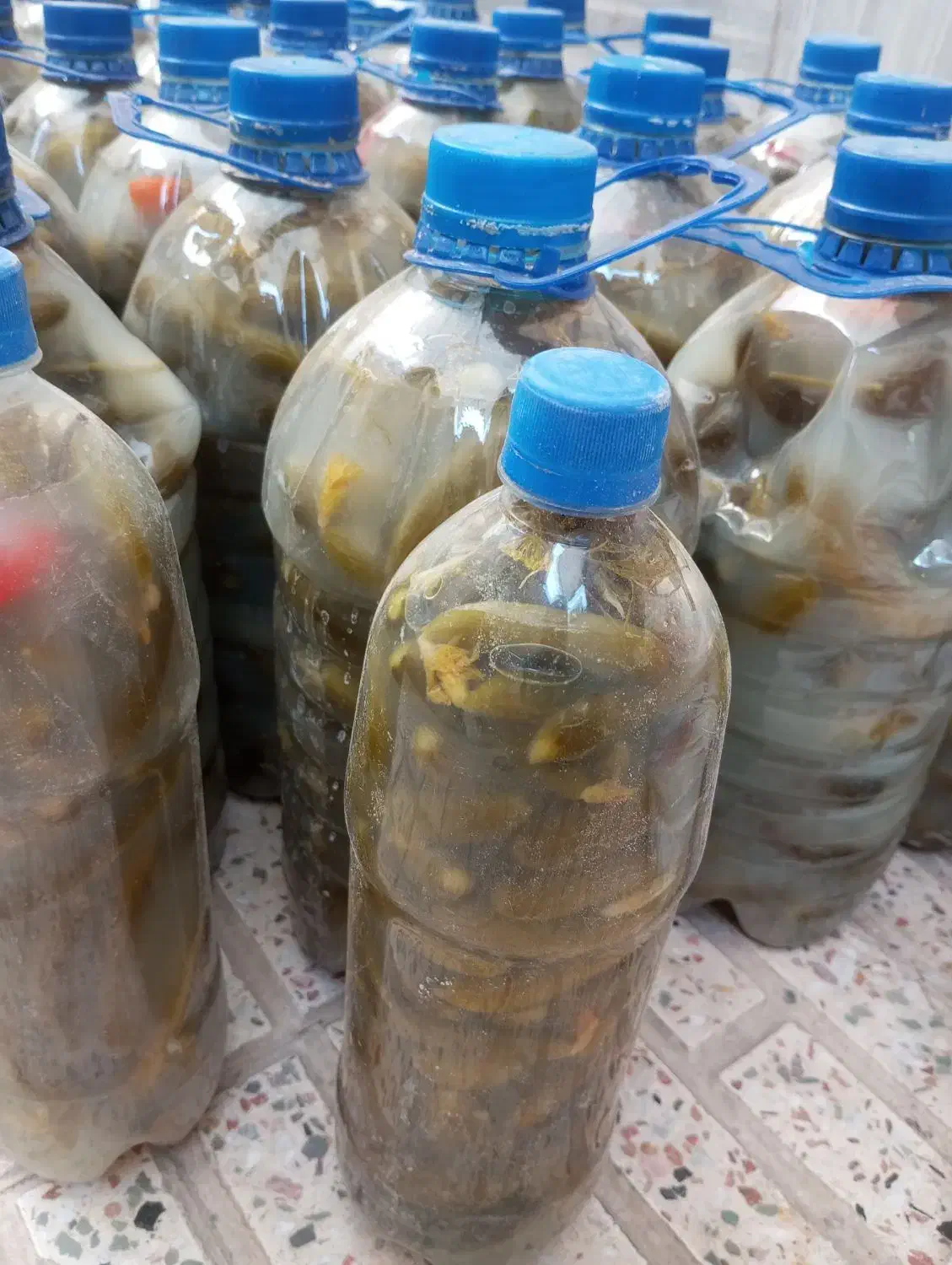 لوبیا ارتشی.سراب|عمدهفروشی|اسلامشهر, شهرک مهدیه|دیوار