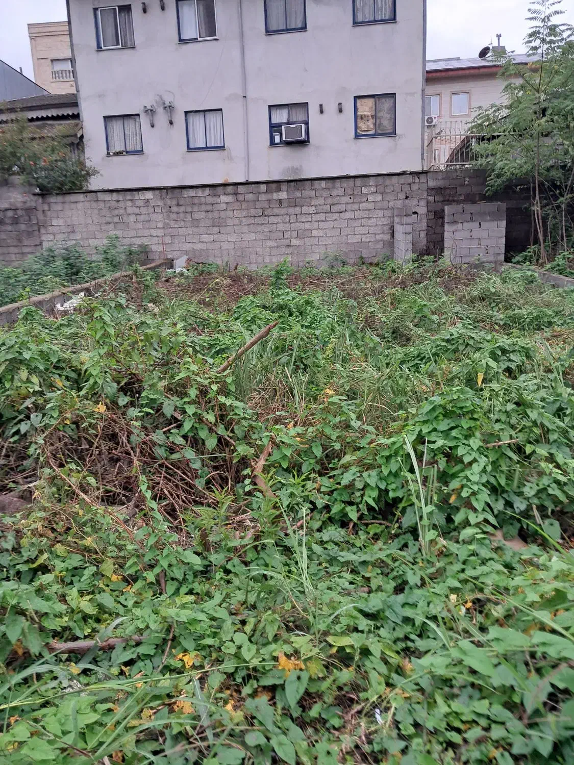 فروش زمین با سند تک برگ|فروش زمین و ملک کلنگی|رشت, سیا اسطلخ|دیوار