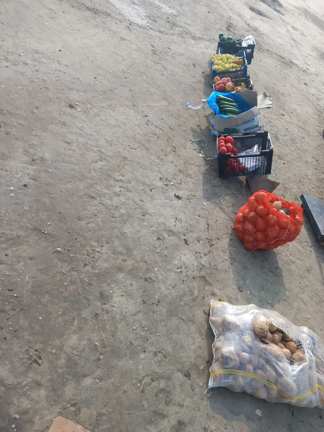 میوه تازه|حراج|گنبد کاووس, |دیوار