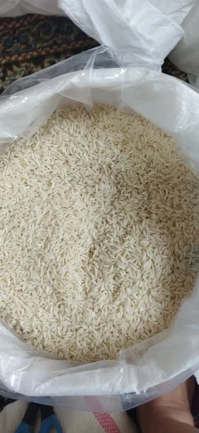 برنج هاشمی خانگی|خوردنی و آشامیدنی|کلاچای, |دیوار