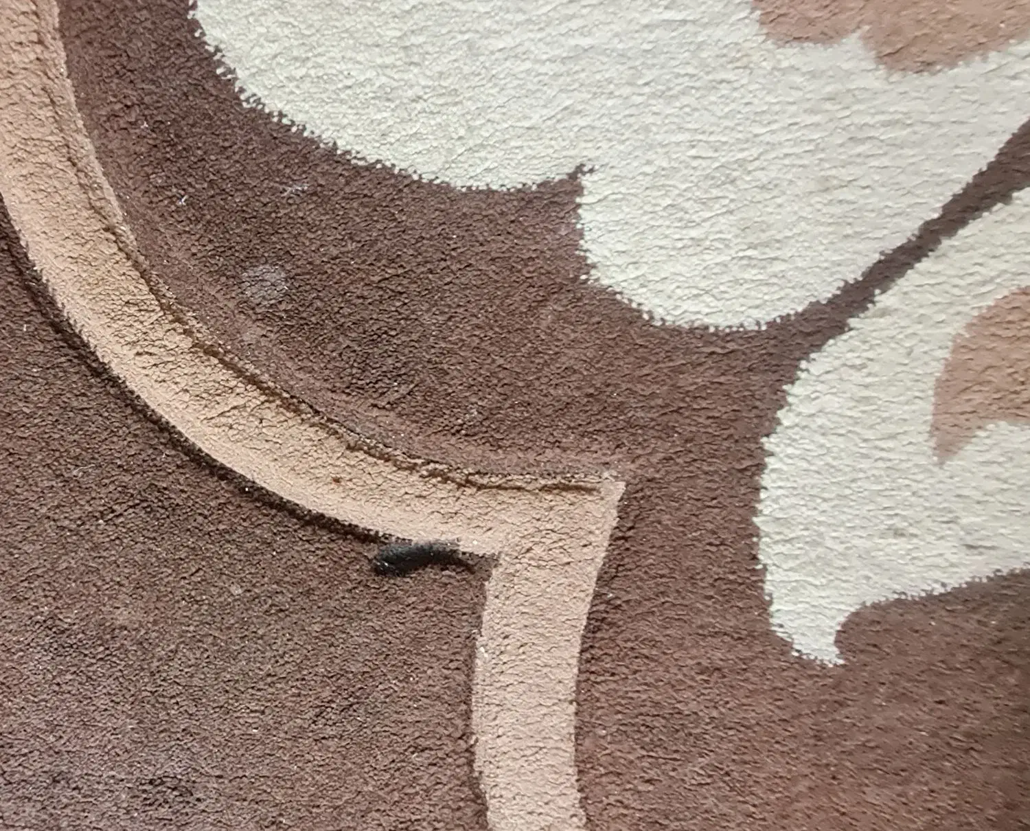 گلیم فرش|گلیم، جاجیم، گبه|کرمانشاه, |دیوار