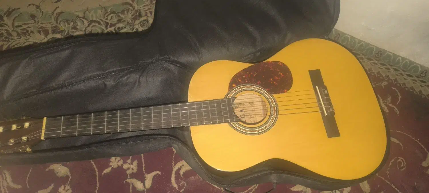 گیتار نو|گیتار، بیس، امپلیفایر|ارومیه, |دیوار