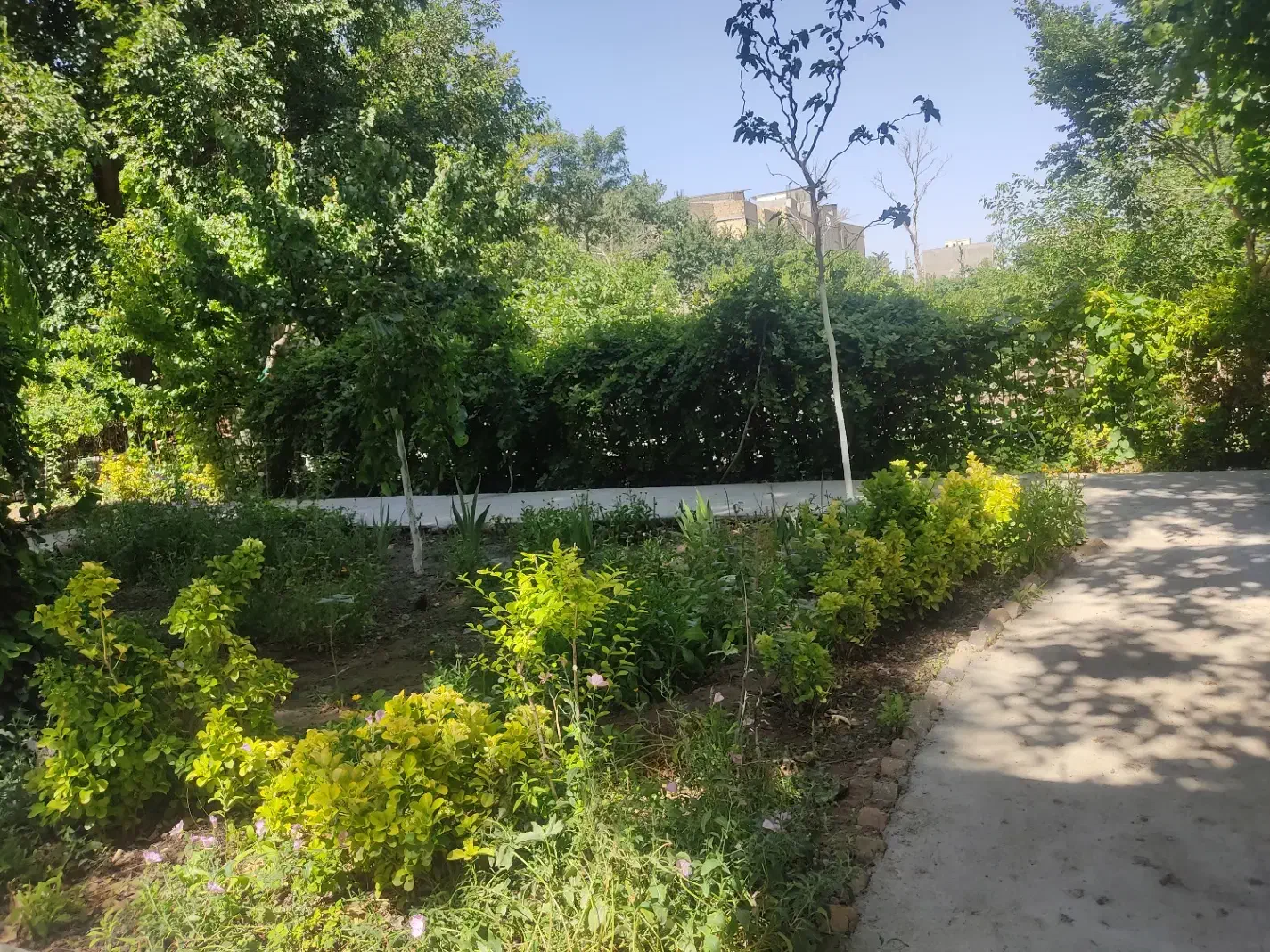 باغبانی|خدمات باغبانی و درختکاری|فردیس, شهرک شهید حسینی|دیوار