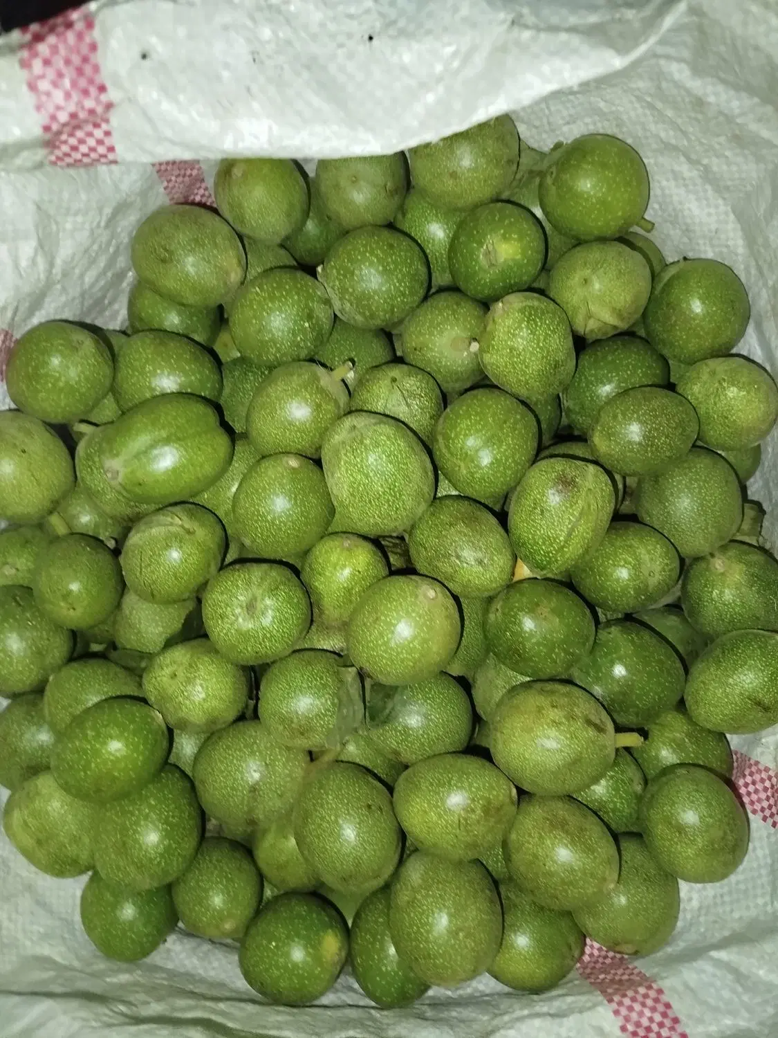 گردو|خوردنی و آشامیدنی|اصفهان, نقش جهان|دیوار